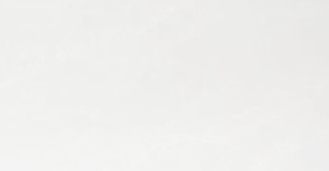 Carrara White Marble